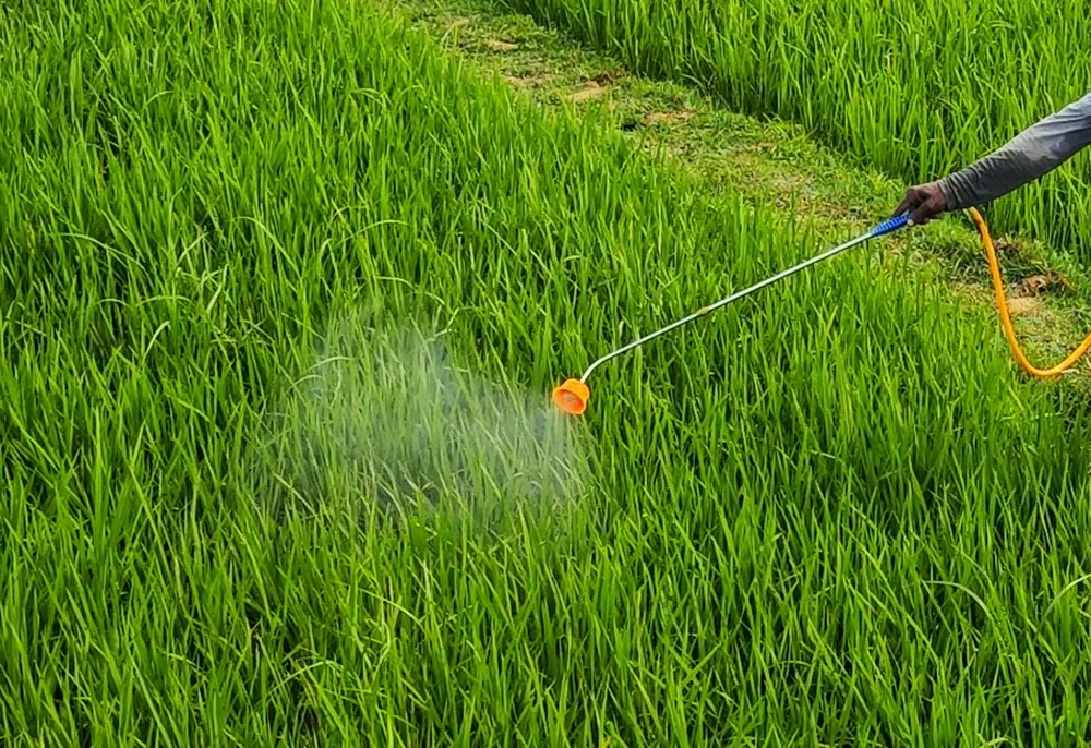 Biotalys obtiene la aprobación de la EPA para EVOCA y se reorienta hacia los biofungicidas
