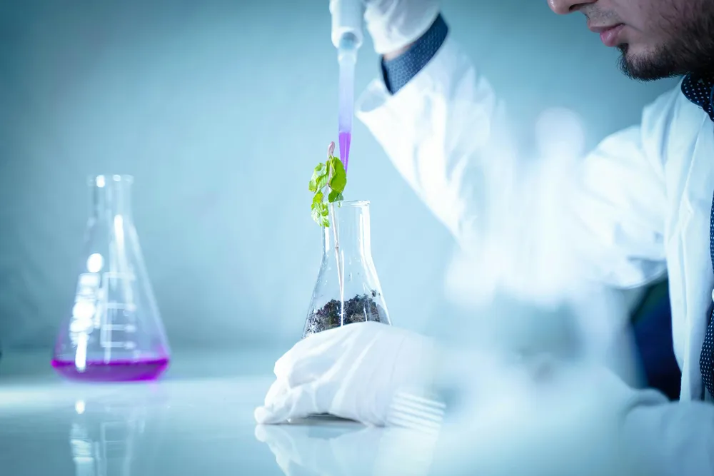 Euroseeds Aplaude la Adopción del Texto sobre Nuevas Técnicas Genómicas por el Consejo de la UE