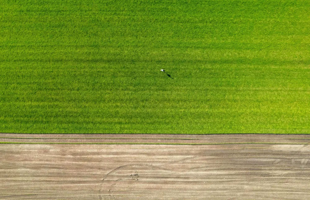 Homestead Capital Realiza un Primer Cierre de 150 Millones de Dólares para su Fondo de Agricultura en EE. UU.
