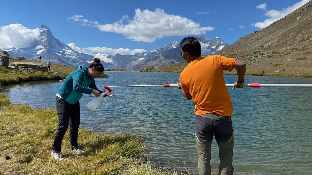 Alpine Bacteria Uncover Promising Antiviral Capabilities