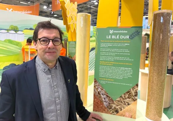 Trigo duro: superficies reducidas a la mitad en Francia desde 2010