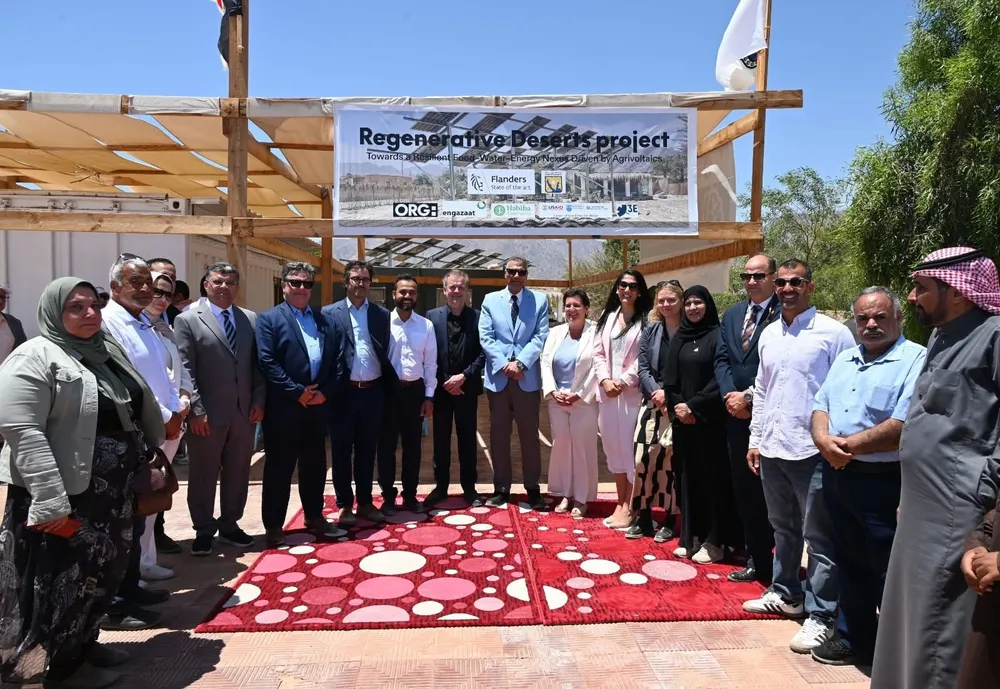 Egipto: Un piloto agrivoltaico para reinventar la agricultura en zonas desérticas