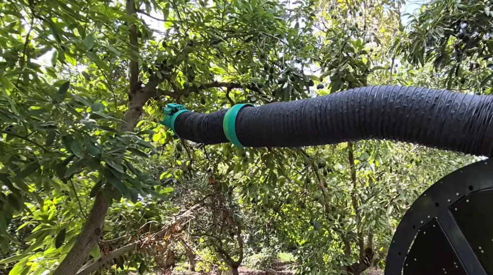 Picker AgRobotics: brazos inspirados en la trompa de elefante para la cosecha de frutas