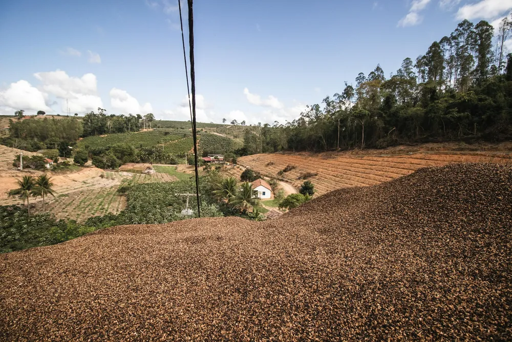 En Brasil, la dinámica competitiva creada por la expansión del mercado orgánico empodera a los agricultores