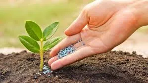 Record d'importations de fertilisants au Brésil en 2025