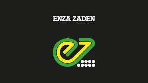 Enza Zaden Develops 18 Tomato Varieties Resistant to ToBRFV in Seven Years