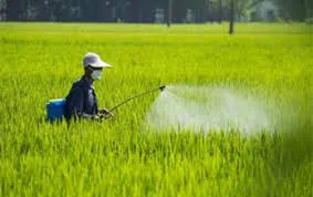 Pesticides: la Chine revoit sa politique fiscale et rebat les cartes du marché mondial