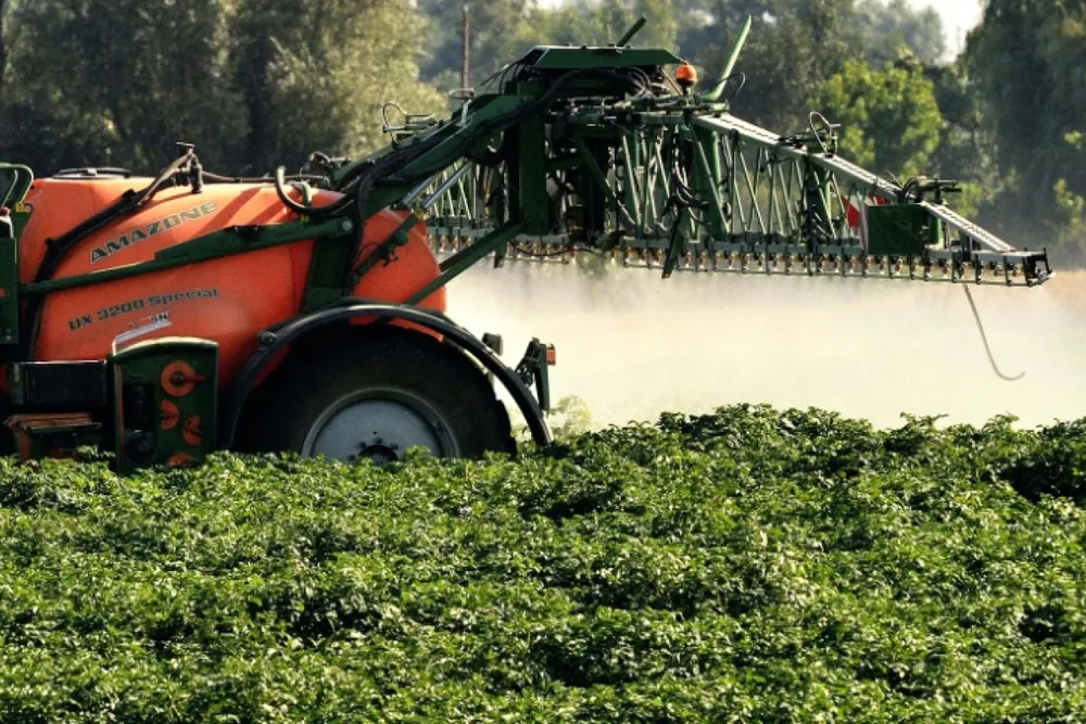 La France valide la réintroduction encadrée de deux insecticides pour plusieurs filières agricoles