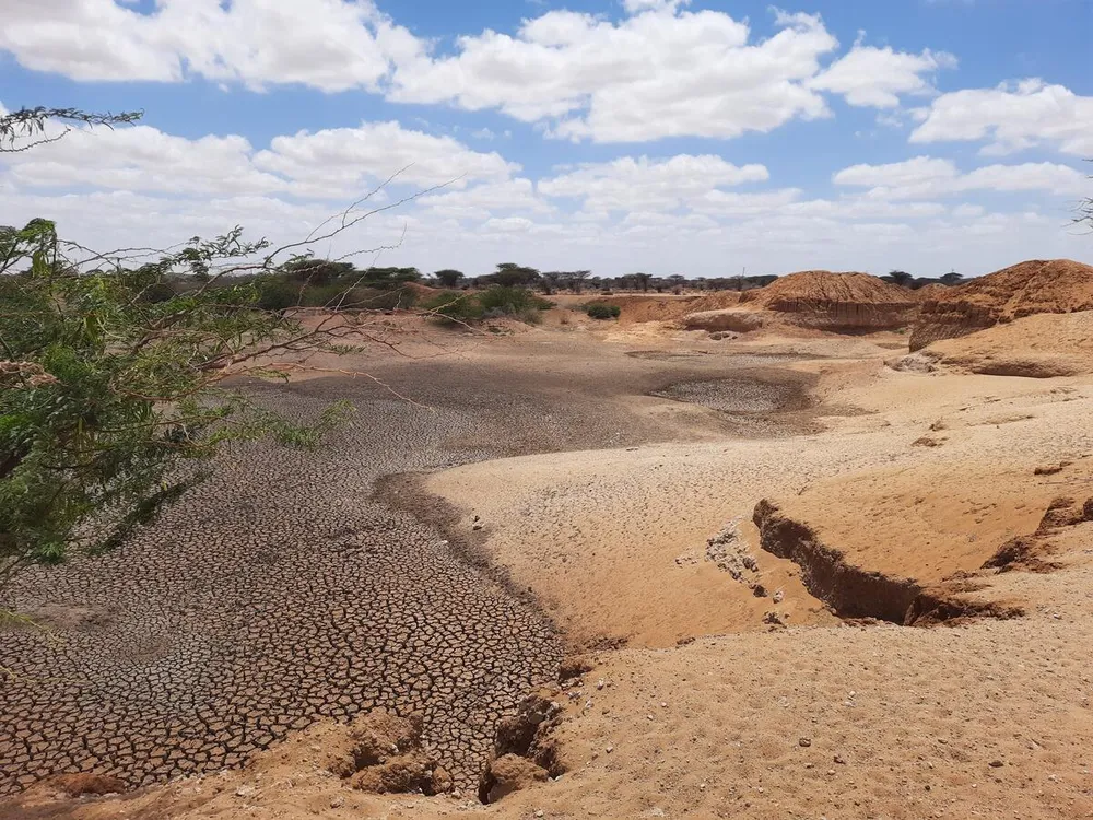 1,7 mil millones amenazados por la degradación de tierras agrícolas, según la FAO