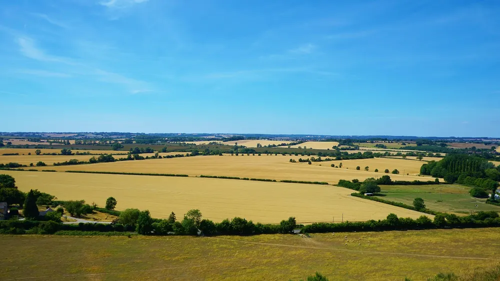 Sharpenhoe, Inglaterra, Reino Unido. Créditos: Mike Bird.