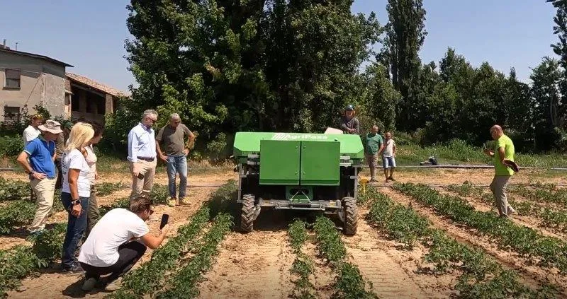 AgriPass Tests Selective Weeding Robot on Tomato Crops in Italy