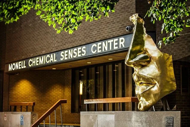 Le Monell Center décerne la première bourse Stephen Manheimer en science des saveurs