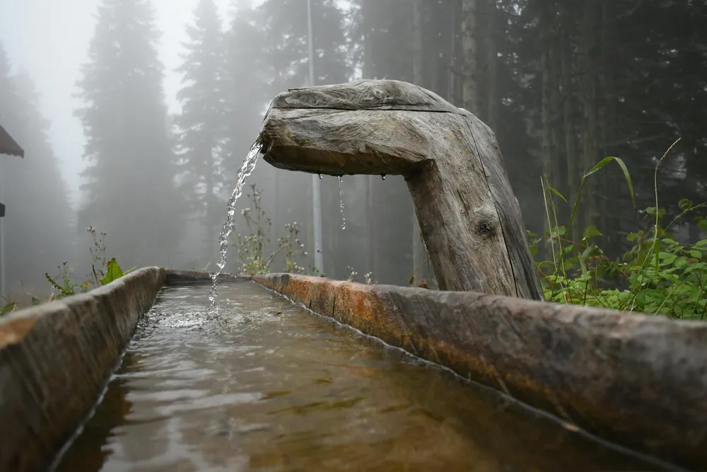 En los Países Bajos, 46 pesticidas PFAS podrían ser prohibidos por riesgo para el agua potable