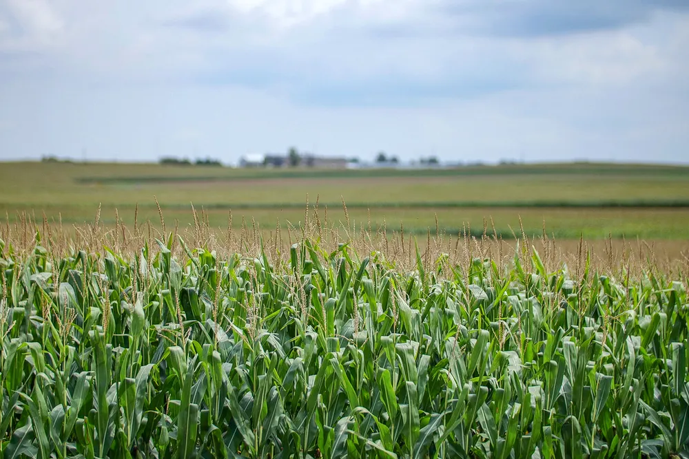 Agricultura Regenerativa: Los Compromisos de las Grandes Empresas Aún Carecen de Credibilidad, Según FAIRR
