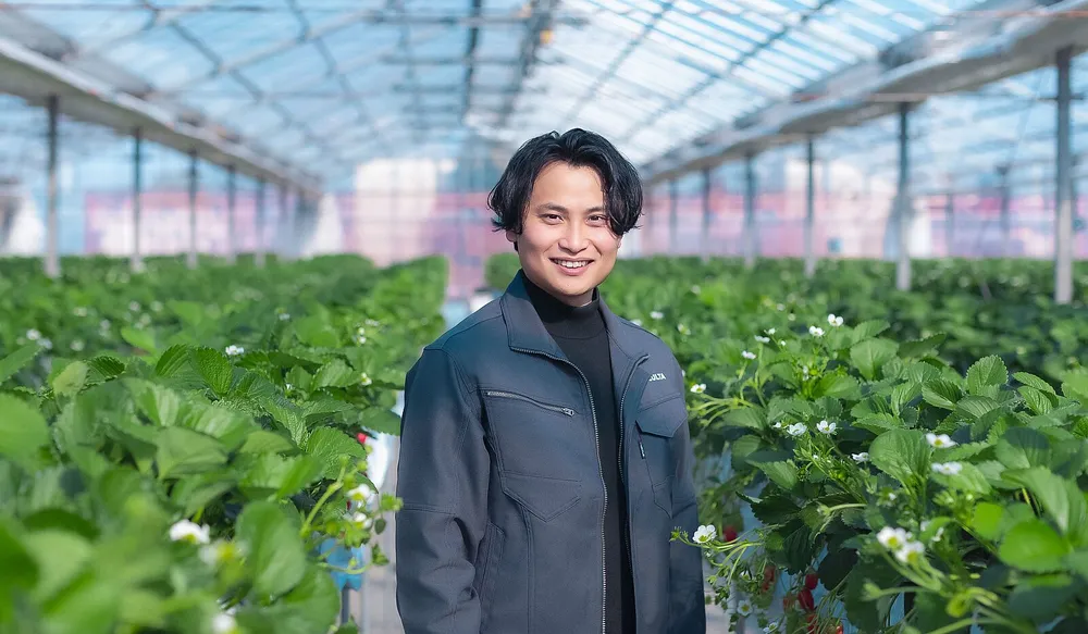 Culta : une start-up japonaise d'agritech vise l'international avec des fruits premium