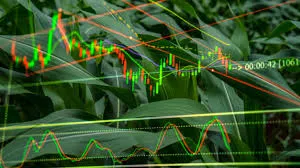 Agricultural Stocks Rise Mid-January