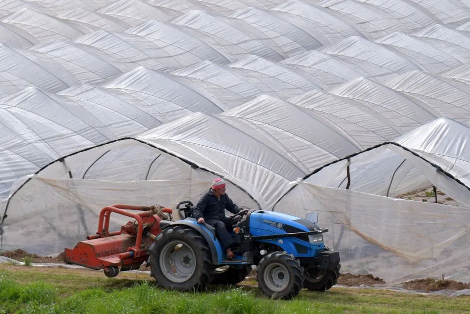 Un agriculteur conduit un tracteur bleu près de serres, illustrant l'agriculture moderne.