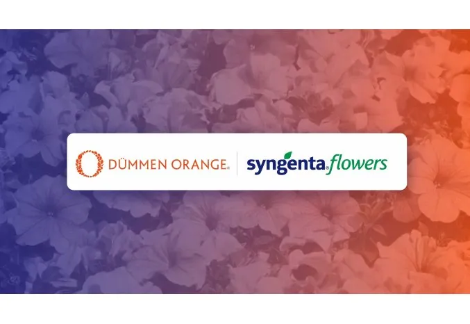 Syngenta cède sa branche fleurs à une coentreprise avec Dümmen Orange
