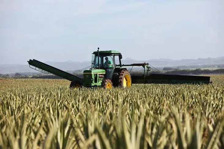 Una start-up francesa se centra en los bio-intrantes para reducir el uso de fertilizantes fosfatados