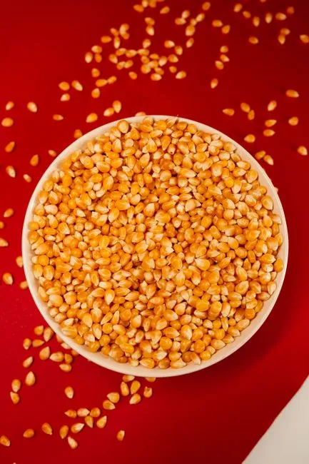 Gros plan sur un bol rempli de grains de maïs jaunes sur un fond rouge vibrant. Idéal pour des thèmes alimentaires et nutritionnels.