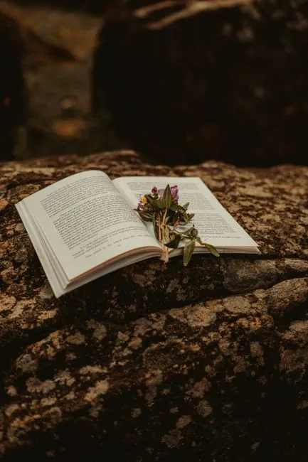 Une scène poétique avec un livre ouvert et des fleurs violettes reposant sur une pierre à l'extérieur.