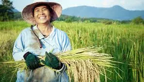FMC obtiene la primera aprobación de su herbicida Dodhylex® en Corea del Sur