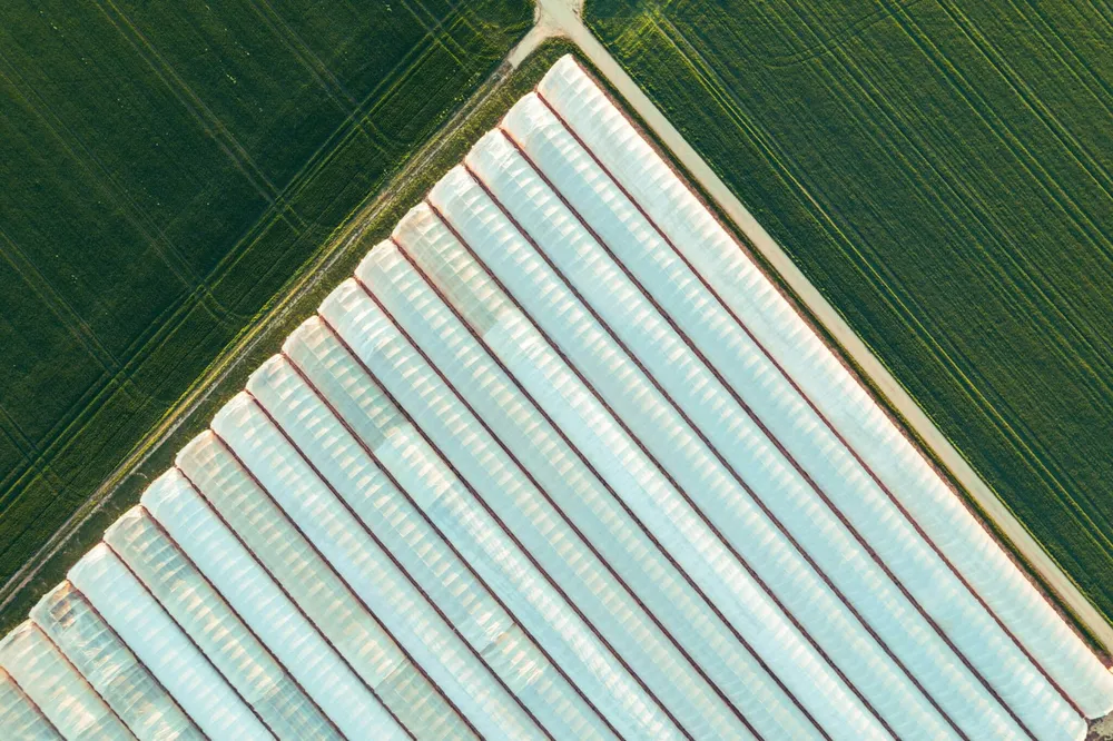 Por qué las empresas de agricultura en entornos controlados de producto único están fracasando cada vez más