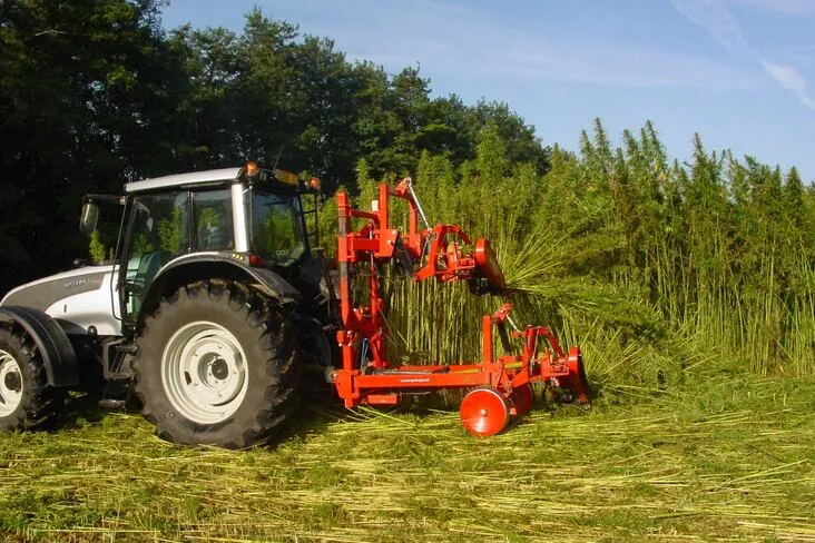 En Charente-Maritime, un sindicato financia una planta de desfibrado de cáñamo para purificar el agua potable