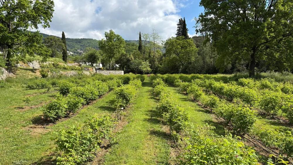 MANE lance un jardin expérimental pour l'innovation en agriculture durable