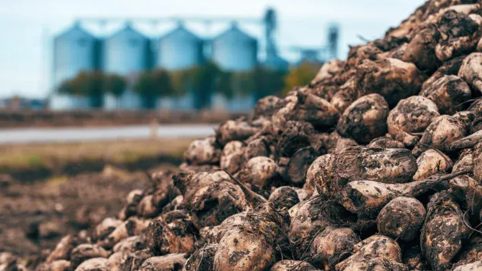 Afyren and Terrial Focus on Fermentation-Derived Potash Production