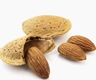 KIND Atteint 50% d'Amandes Régénératives Grâce à un Pilote de Trois Ans