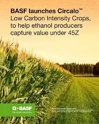 BASF Lanza Circalo para Medir la Intensidad de Carbono en Prácticas Agrícolas