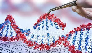 Un Nuevo Editor de Genes Compacto para Mejorar la Selección Vegetal