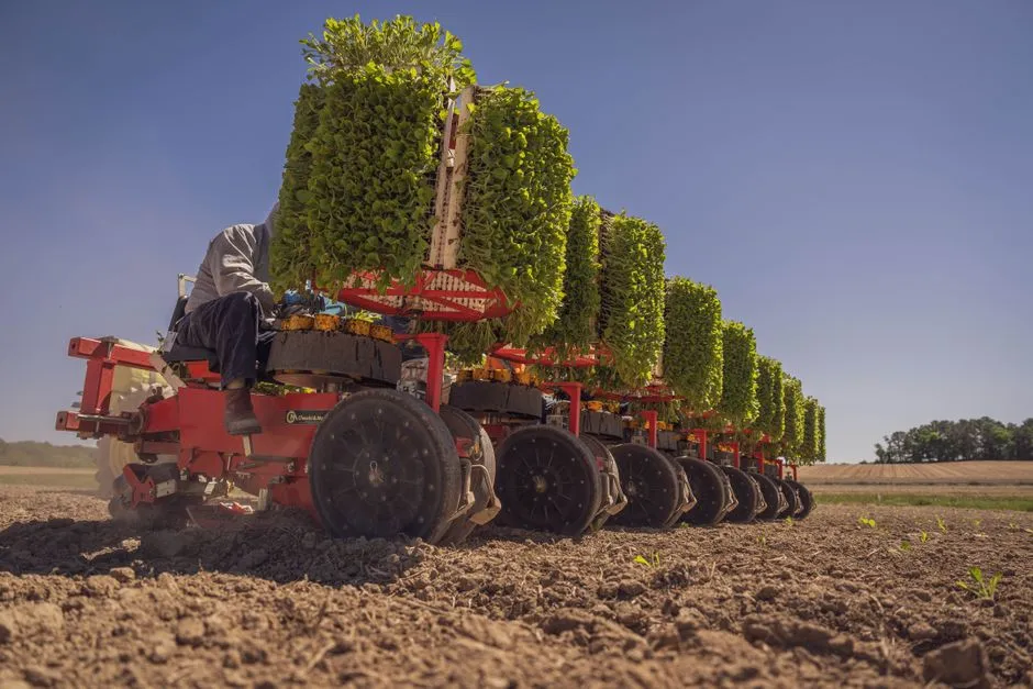 Matériel agricole moderne utilisé pour des semis efficaces par temps ensoleillé.