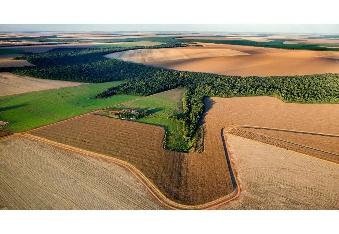 El programa REVERTE® de Syngenta reconocido por su transformación agrícola
