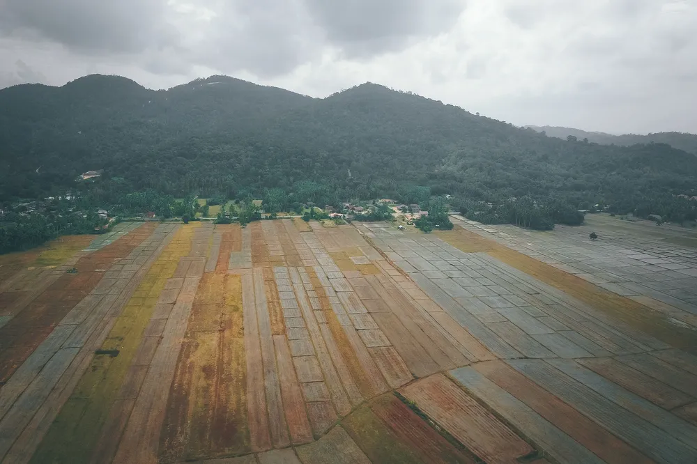 Kuala Terengganu, Terengganu, Malasia. Créditos: Pok Rie.