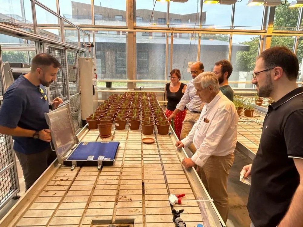 Nuevo Programa de Investigación sobre Biostimulantes y Eficiencia del Nitrógeno