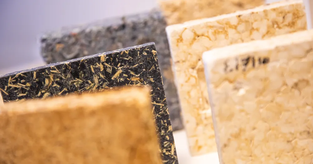 From Wastewater to Bioadhesives: Innovation at UniLaSalle Rouen