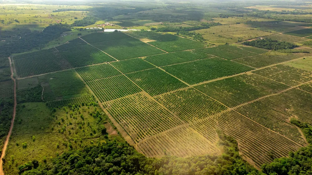 Vista aérea de campos en Brasil. Créditos: Maurylio Silva.