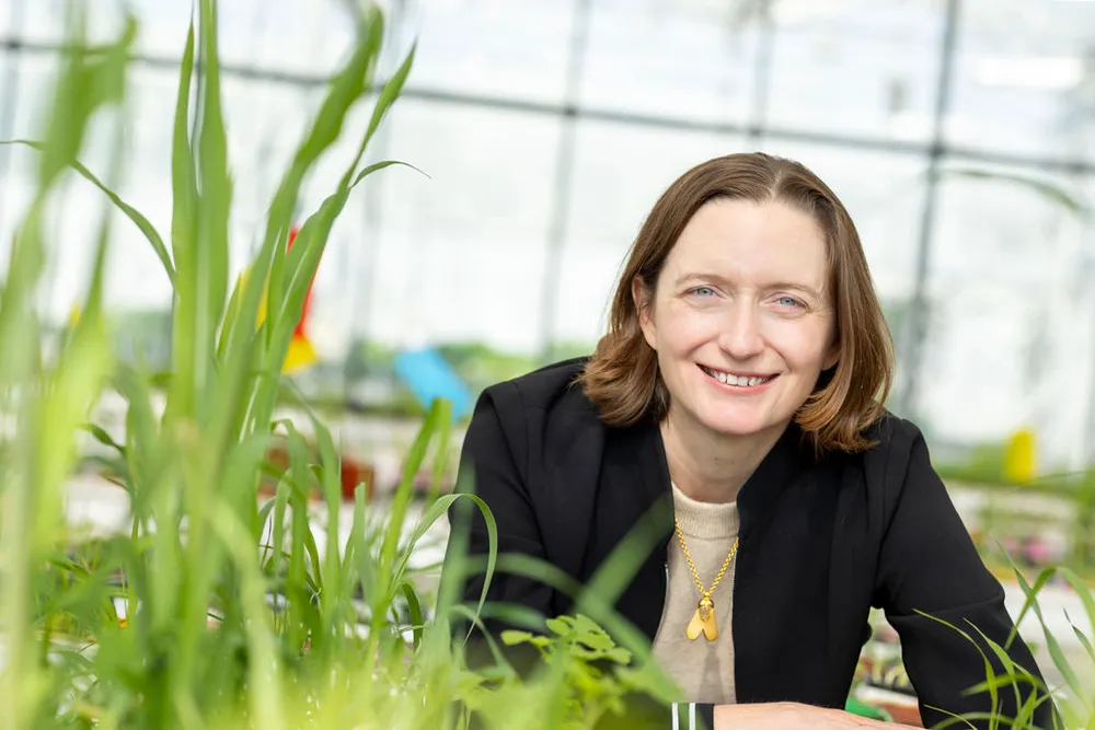 Moa Technology lève 30 millions de dollars pour innover en gestion des mauvaises herbes