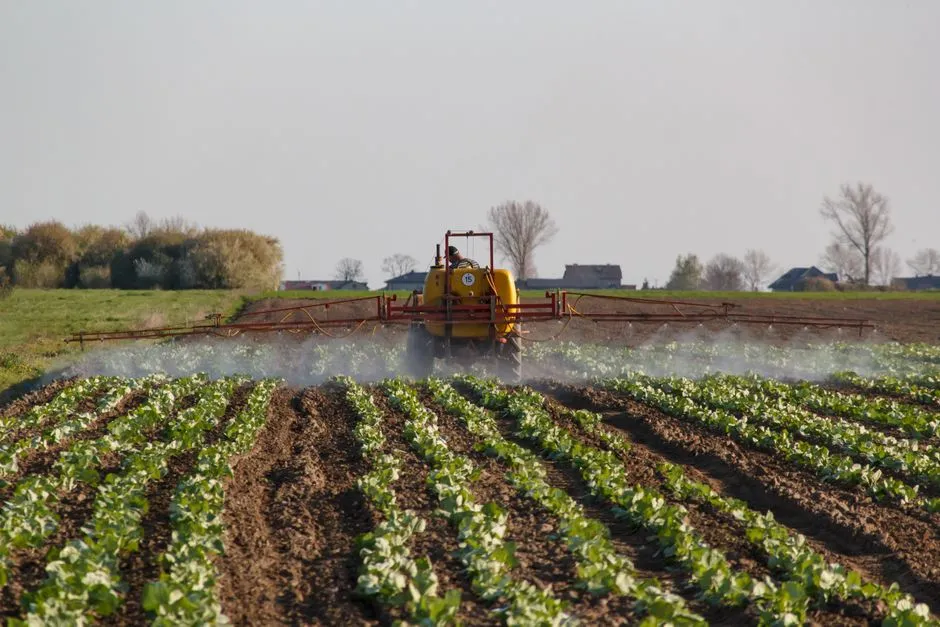 Tracteur pulvérisant un champ agricole vibrant. Capture de l'agriculture moderne en action.